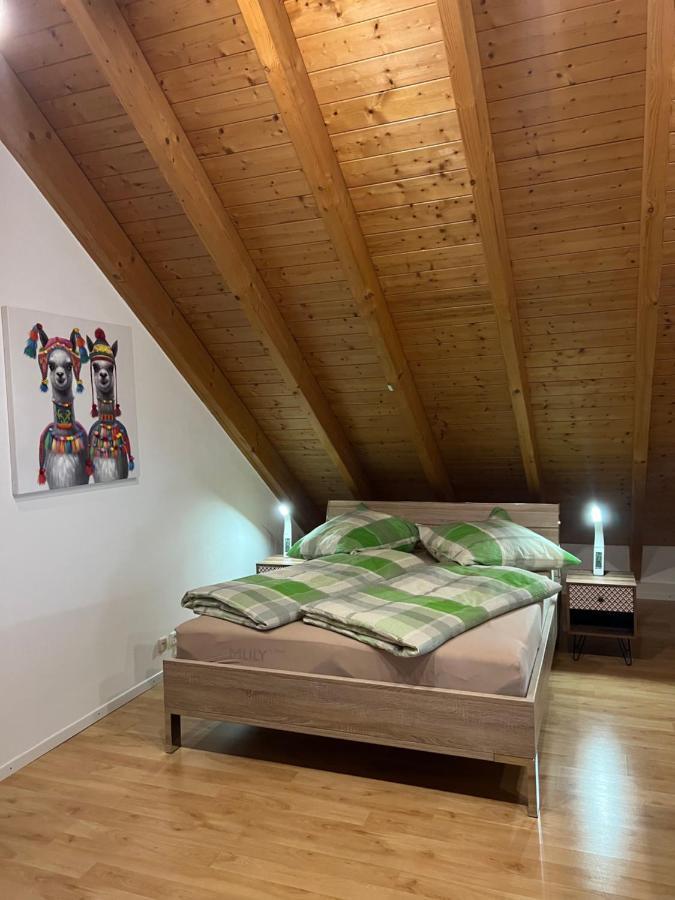 Ferienwohnung Zentral In Loerrach - Konus Gaestekarte Inklusive 외부 사진